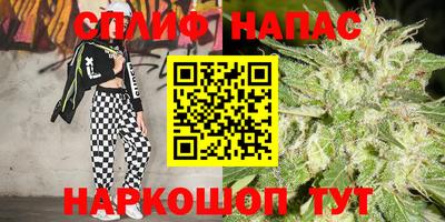 a pvp Кимры